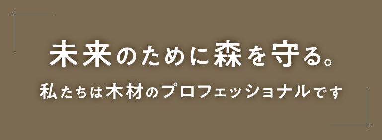 未来のために森を守る。私たちは木材のプロフェッショナルです